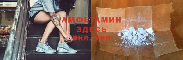 прущие грибы Гусь-Хрустальный