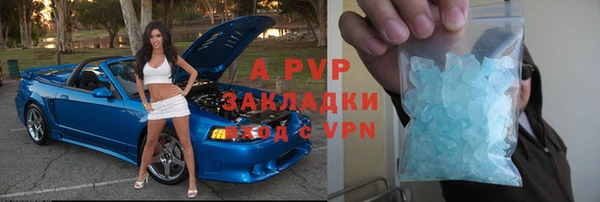 ГАЛЛЮЦИНОГЕННЫЕ ГРИБЫ Гусиноозёрск