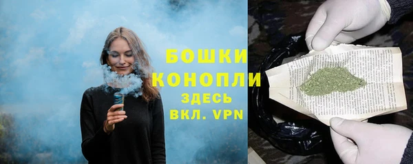 скорость Гусев