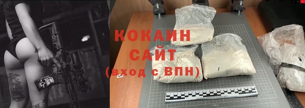 скорость Гусев