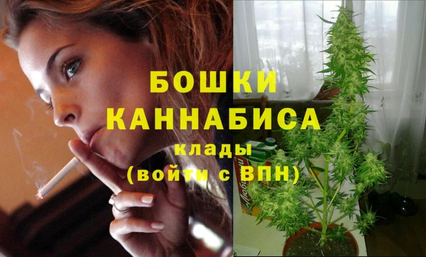 прущие грибы Гусь-Хрустальный