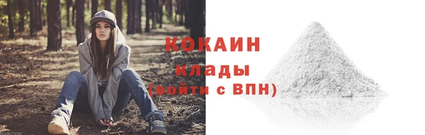 ГАЛЛЮЦИНОГЕННЫЕ ГРИБЫ Гусиноозёрск