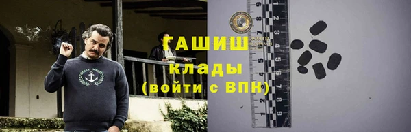 скорость Гусев