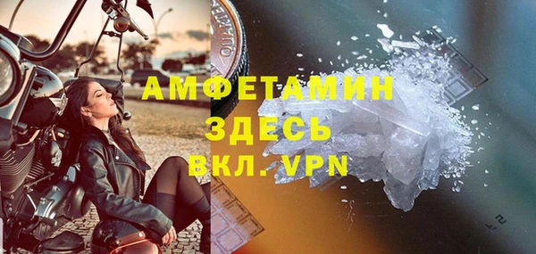прущие грибы Гусь-Хрустальный