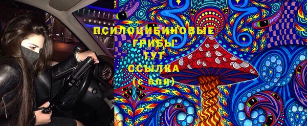 прущие грибы Гусь-Хрустальный