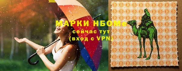 прущие грибы Гусь-Хрустальный