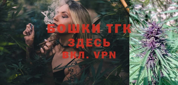 скорость Гусев