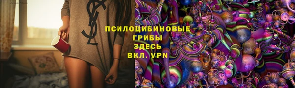 ГАЛЛЮЦИНОГЕННЫЕ ГРИБЫ Гусиноозёрск