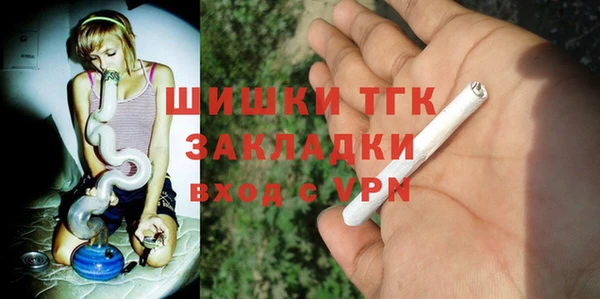 прущие грибы Гусь-Хрустальный
