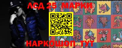 гидропоника Апшеронск