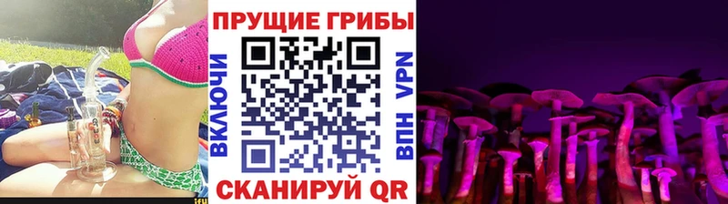Галлюциногенные грибы ЛСД  кракен зеркало  Мценск 